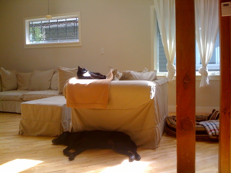 sleeping-in-symmetry