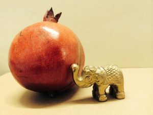 elephant pomegranate
