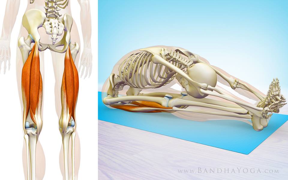 Case study: hamstring strain (or&nbsp;something)