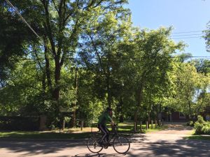 WALKABILITY From my B&B a leisurely walk to The Forks took 40 minutes. Along the way, I could have turned to head downtown or to the commercial Osborne and Corydon Streets.