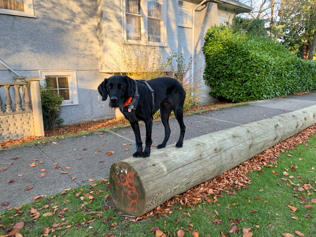 Injury Troubleshooting